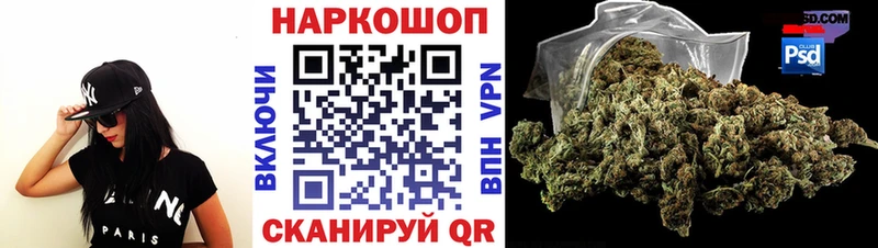 APVP Электрогорск