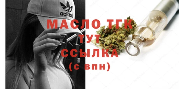 мдпв Богородск