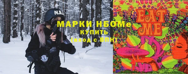 прущий лед Богородицк