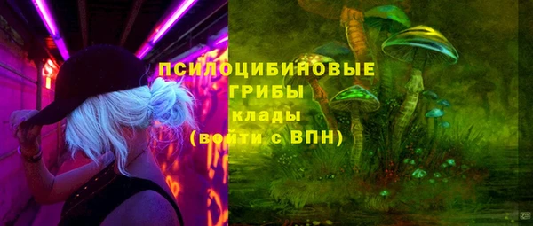 мдпв Богородск
