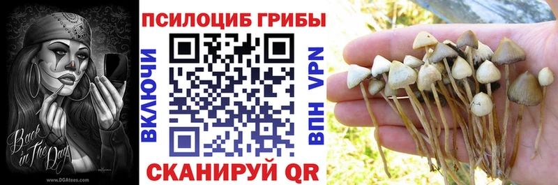 Галлюциногенные грибы мицелий  MEGA ССЫЛКА  Электрогорск  купить  